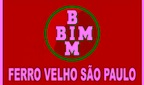 Logo bim