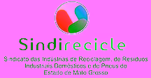 Logo sidirecicle