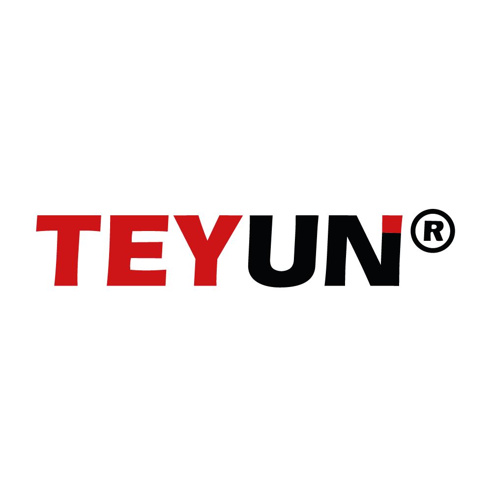 Logo Teyun