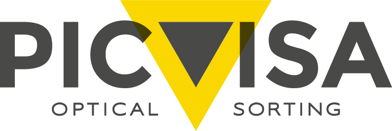 Logo IRIS – sistemas inspeção indústrial lda - PICVISA