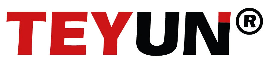 Logo TEYUN  (NANJING)